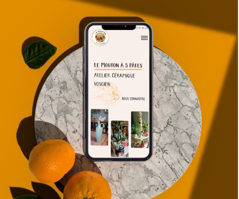 Le Mouton A 5 Pates Web Design Site Internet